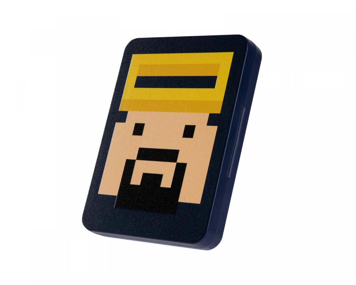 Switch Game Card Holder - 16 Slots - Dave Edition in the group  at DXRacer Distribution Europe (40414)